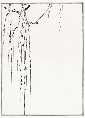 Hengende greiner